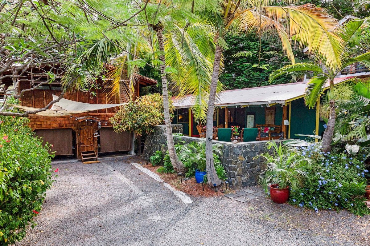 The Salty Jungle Kona gallery image 2