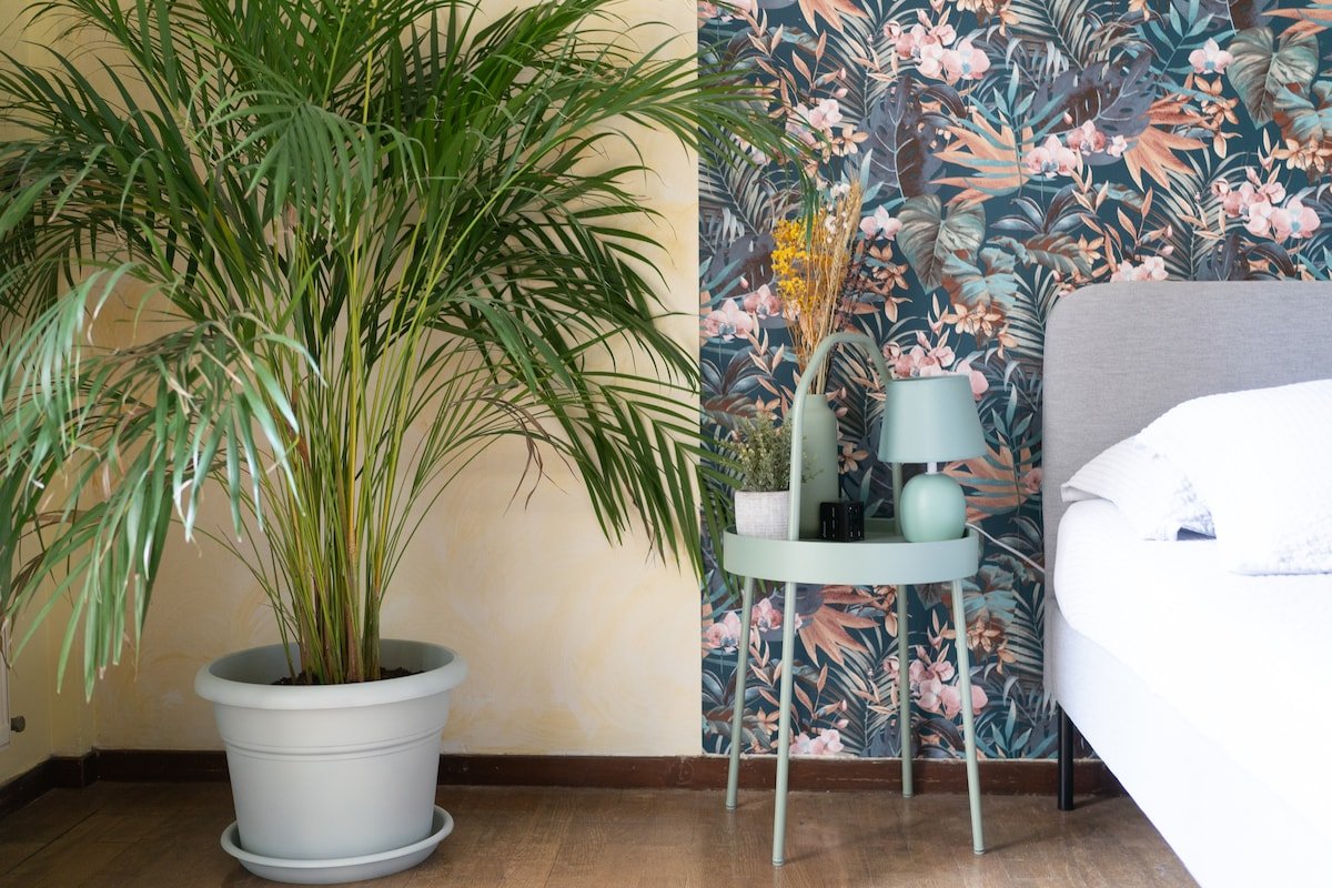 Casa Lya e Seve (funicolare) gallery image 2