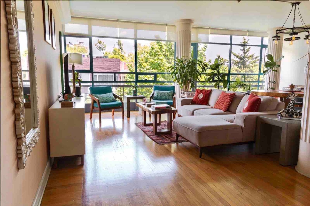 Mexican Charm large bright APT amazing location gallery image 2