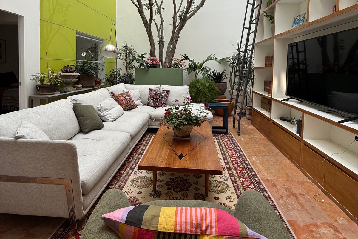 Unique Designer Oasis in Condesa. Best roof garden