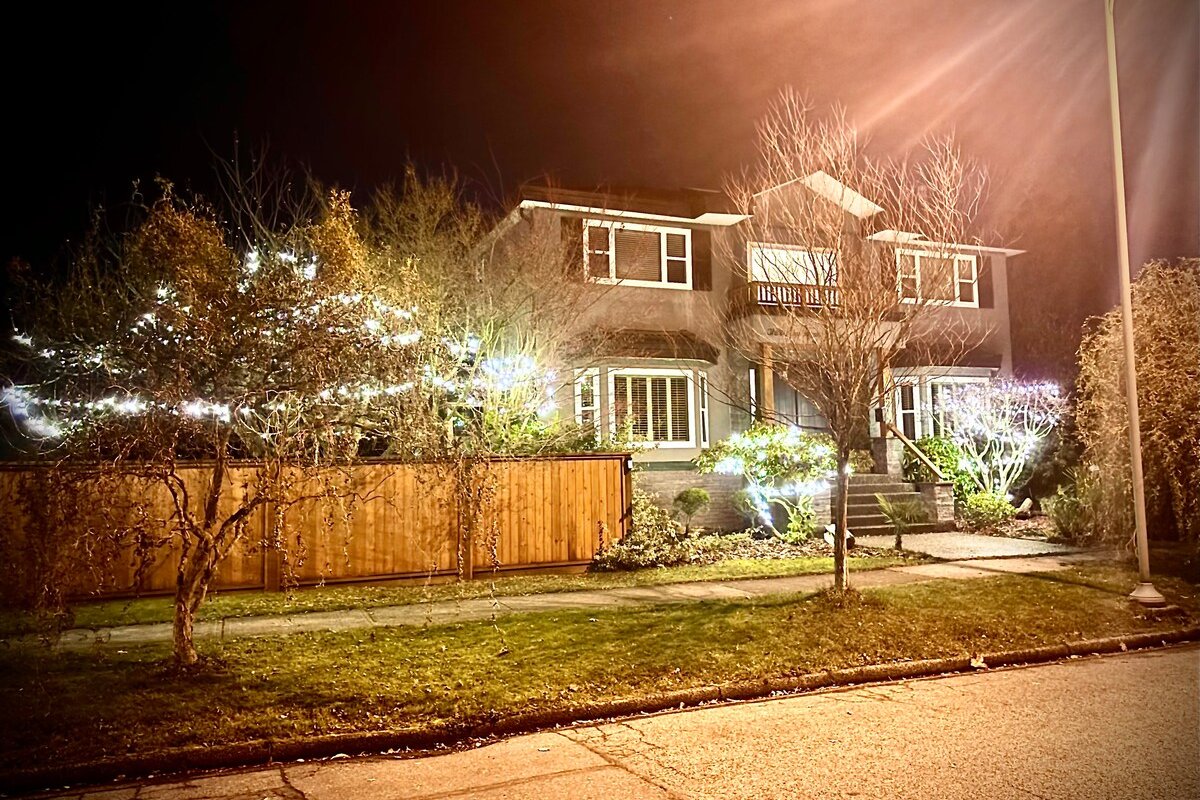 Corkscrew Willow Estate gallery image 3