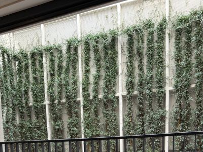 Ando’s Boutique Garden