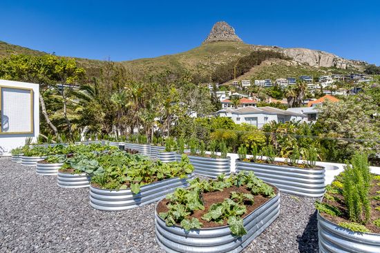 Ocean View Villa Photo 10