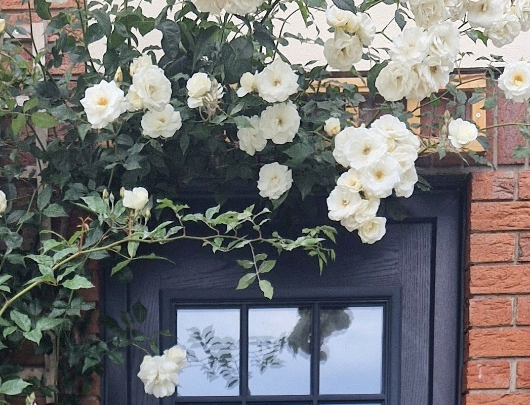 Family House by the sea gallery image 3