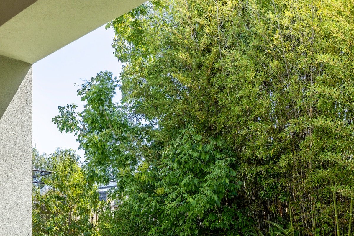 Luxury Escape | 5BR, 3 Ensuites & Grand Spaces gallery image 4