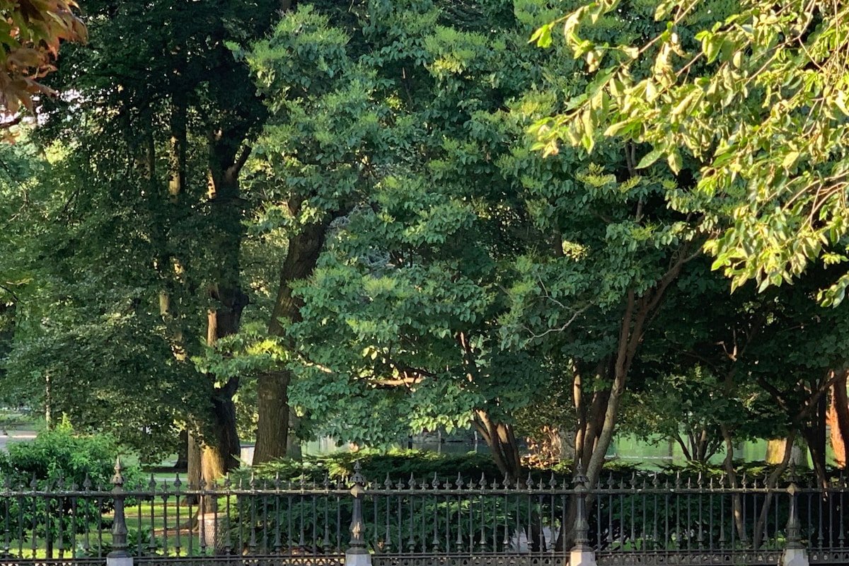 Stunning Beacon Hill Boston Townhouse Apartment gallery image 5