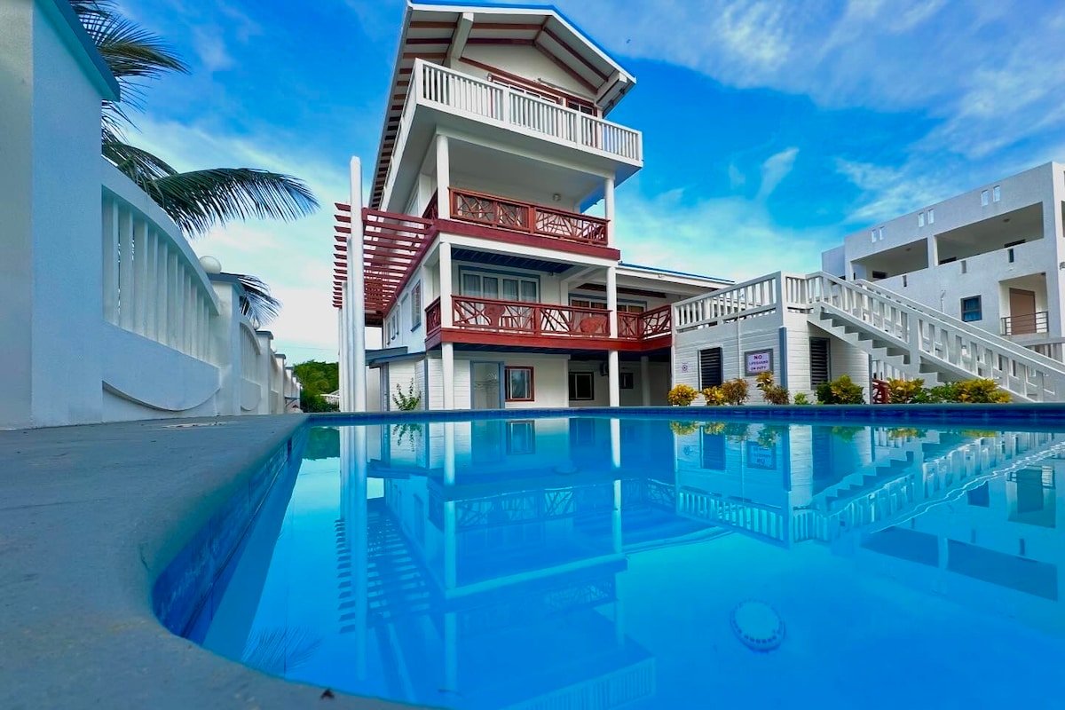 The Coastal Lion gallery image 2