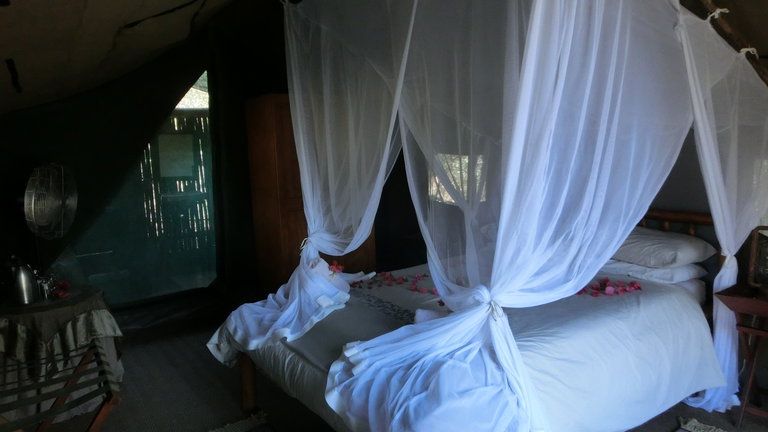 KwaMbili Game Lodge Meru Safari Tent 1