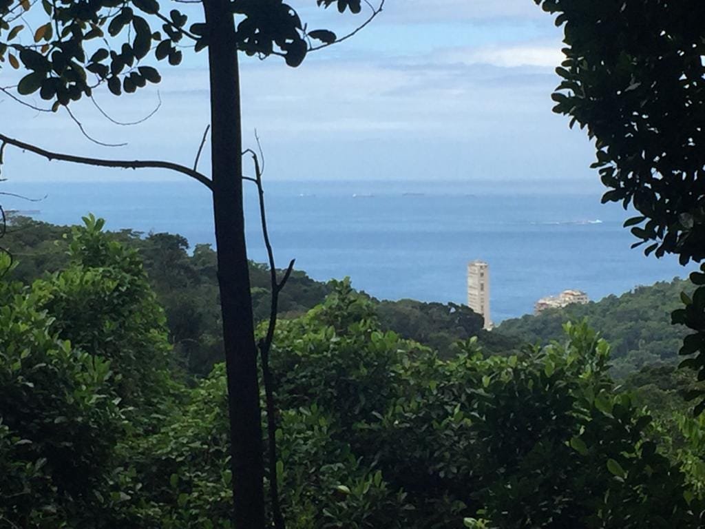 Casa Floresta – Urban Paradise- Ocean View gallery image 4