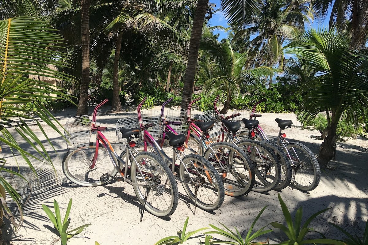 Stunning Caribbean Views. Beach, Pool, Kayaks. gallery image 4