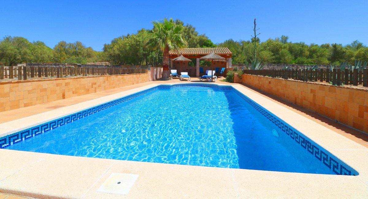 Alcoraia gallery image 2