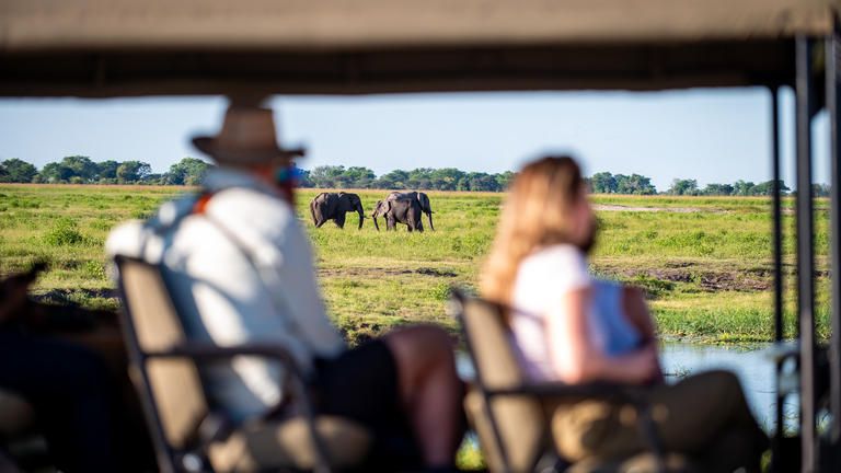 Game drives