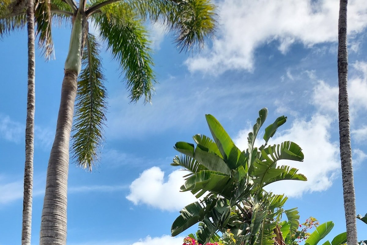 Private Island, Priv Beach, 6 seat GC 100ftDock! gallery image 5