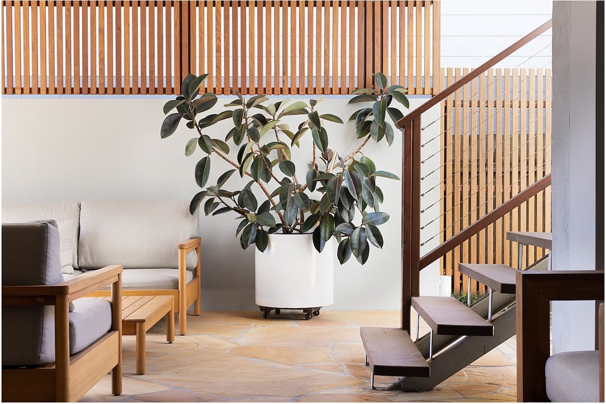 Pelicans | Blueys Beach gallery image 4