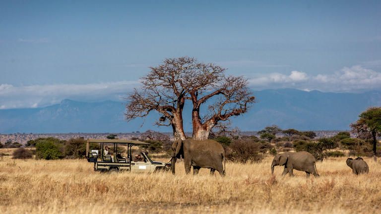 Game Drives in our private concession