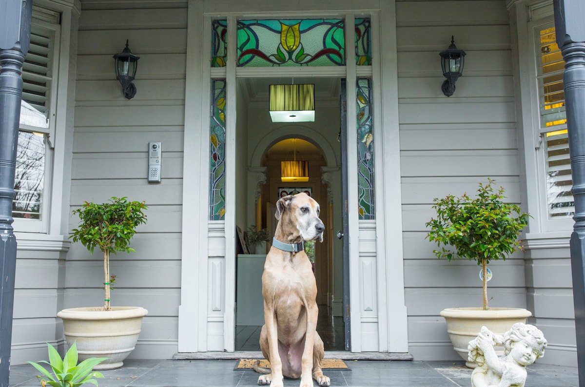 Alegria @ Mosman gallery image 3