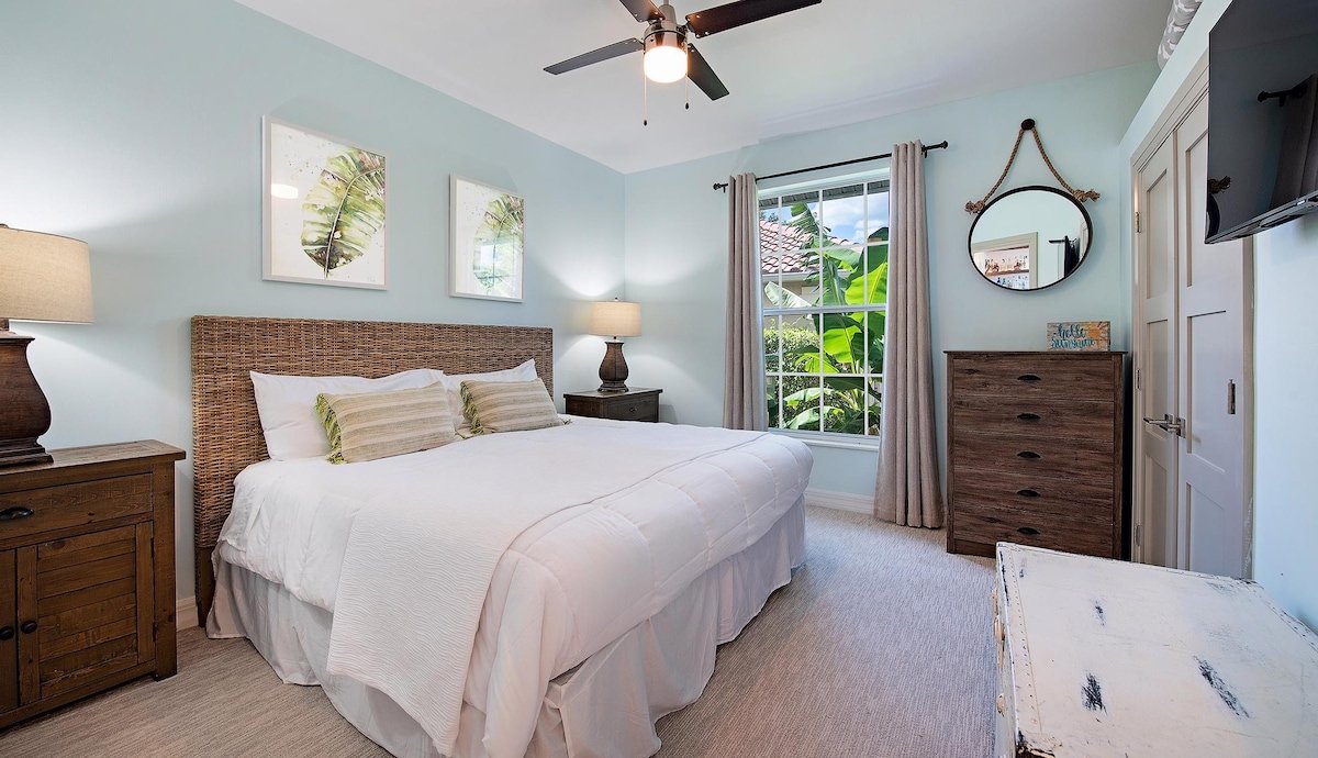 Bougainvillea gallery image 2