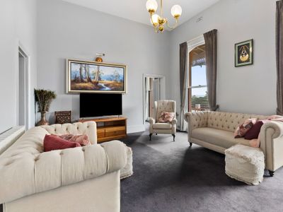 Pelicans at the Ozone