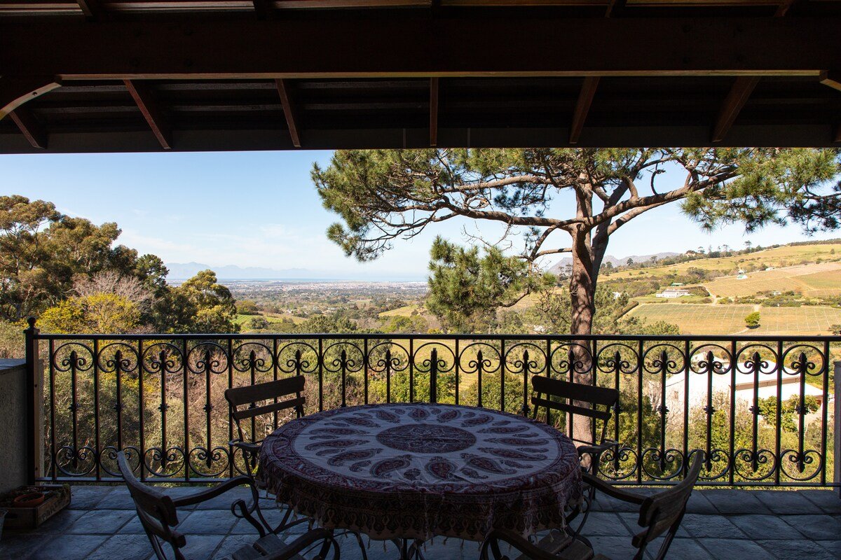 Pointers gallery image 5