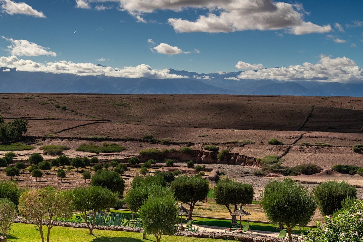 Le Palais Paysan gallery image 2