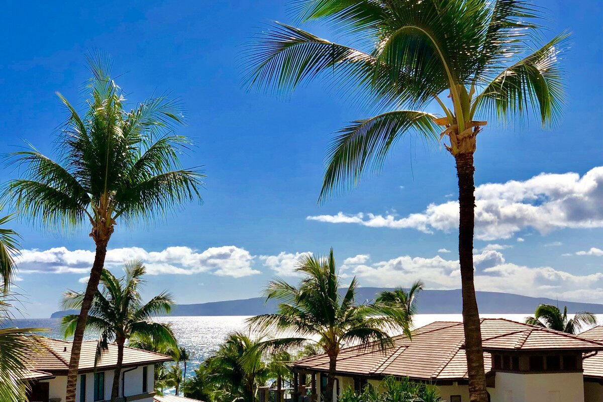 Wailea Beachfront Direct Ocean Views 4 Bd/3 Ba gallery image 4