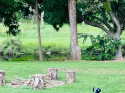 Summer house•Private Lake•Air-Conditioned Retreat