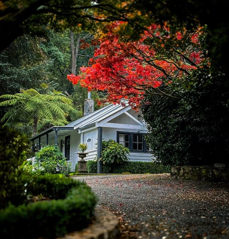 Dingleigh of Sassafras – Reader’s Cottage gallery image 2