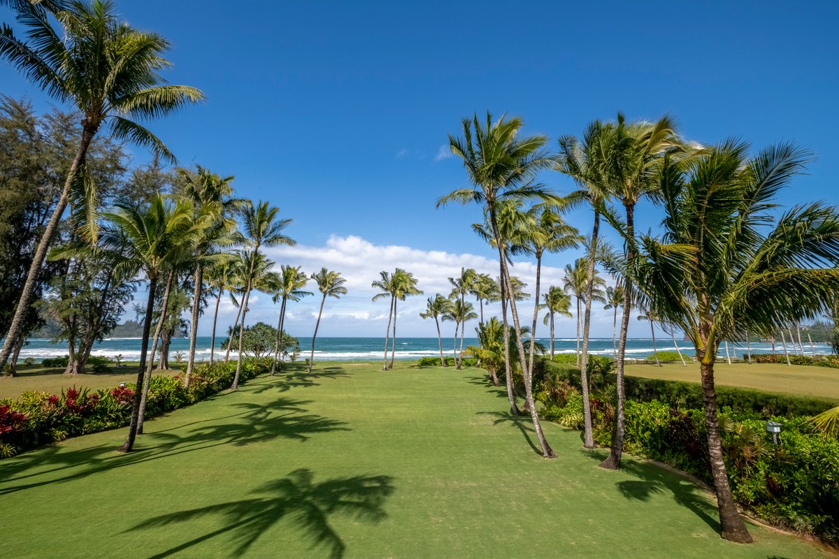 Oceanfront Dolphin House Hanalei
