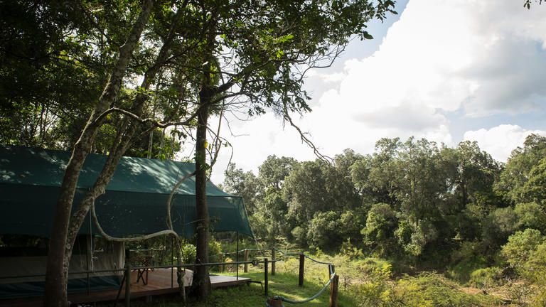 Governors' Private Camp Luxury Tent