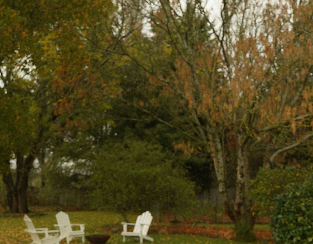 Family & Friends Holiday – Heart of Tasmania gallery image 3