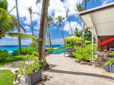 Bird Of Paradise TVU-1868 – Ke Iki Beach Bungalows