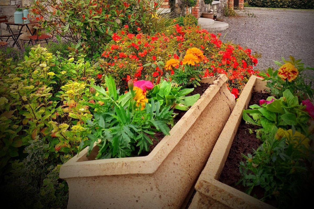 Rustic FarmHouse Dublin City/Airport