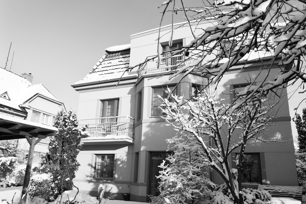 Villa Krocinka gallery image 2