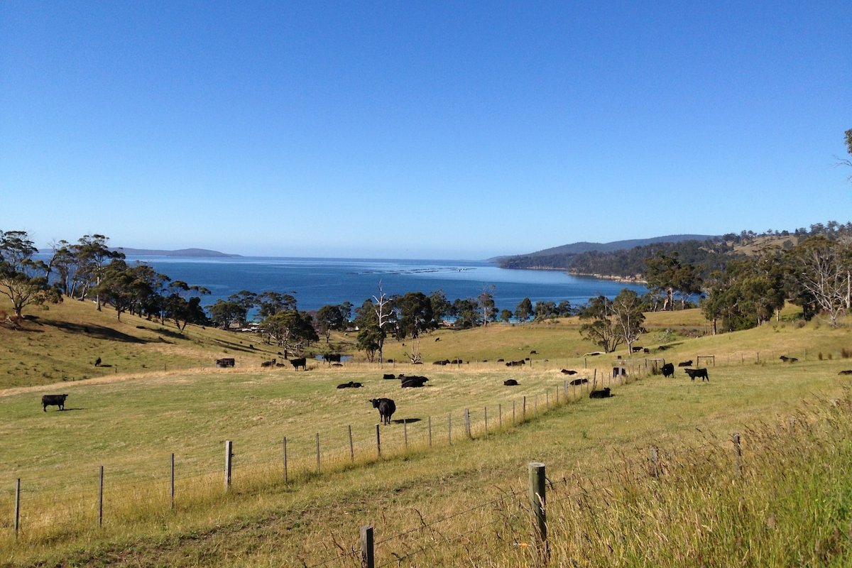 Tranquil Beach House gallery image 3