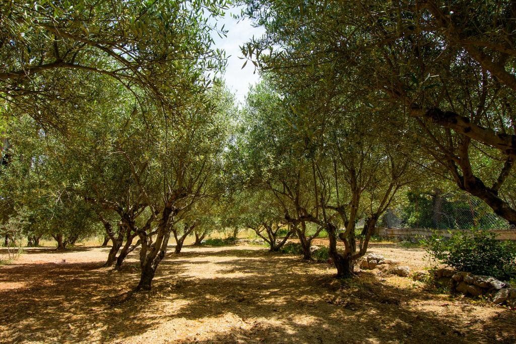 Little Eden Private Villa-6 homes/pool/party/event gallery image 4