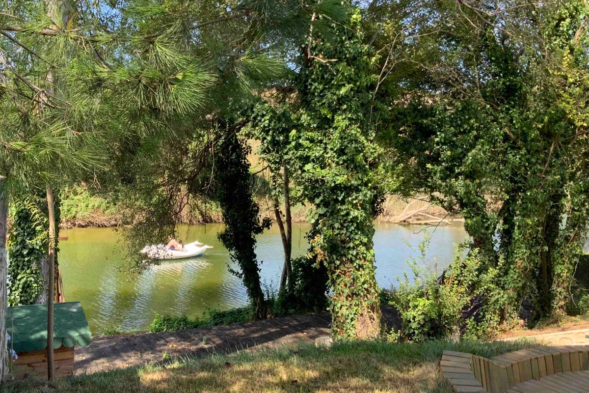 Doğanın Kalbinde Ahşap Villa