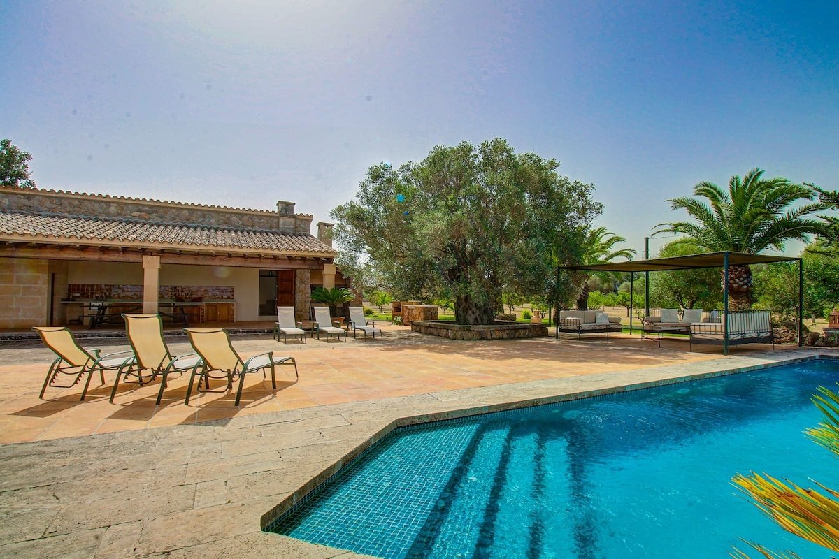 S’Olivar de Son Reixach by Rentallorca gallery image 2