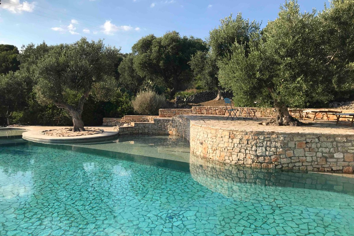 A paradise among olive trees