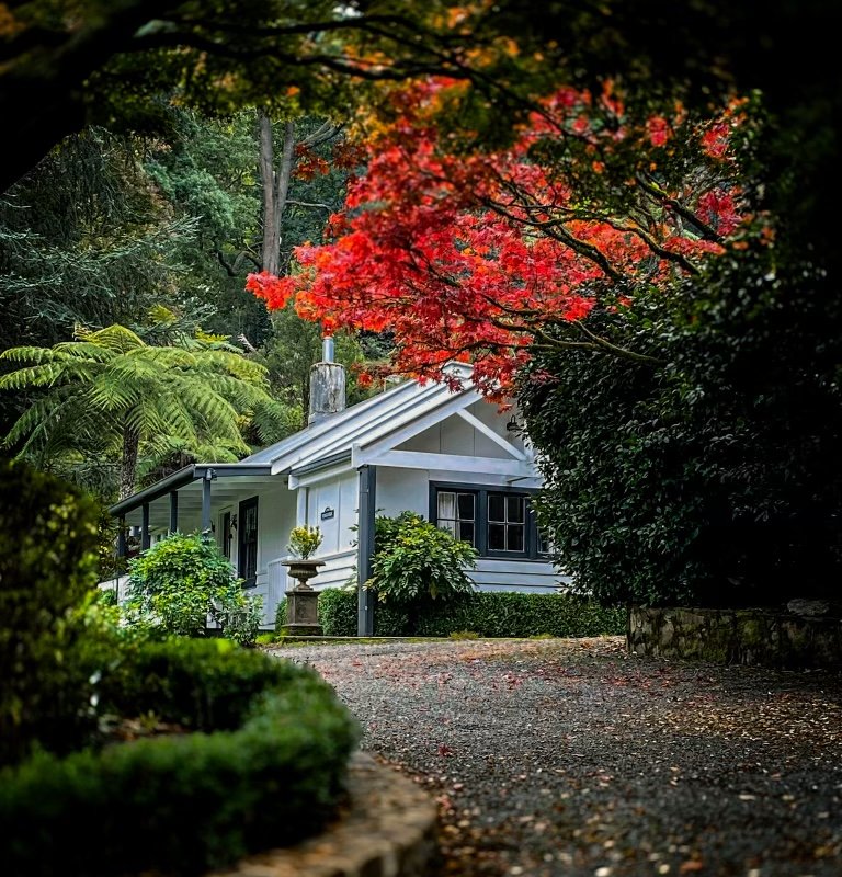 Dingleigh of Sassafras – Reader’s Cottage