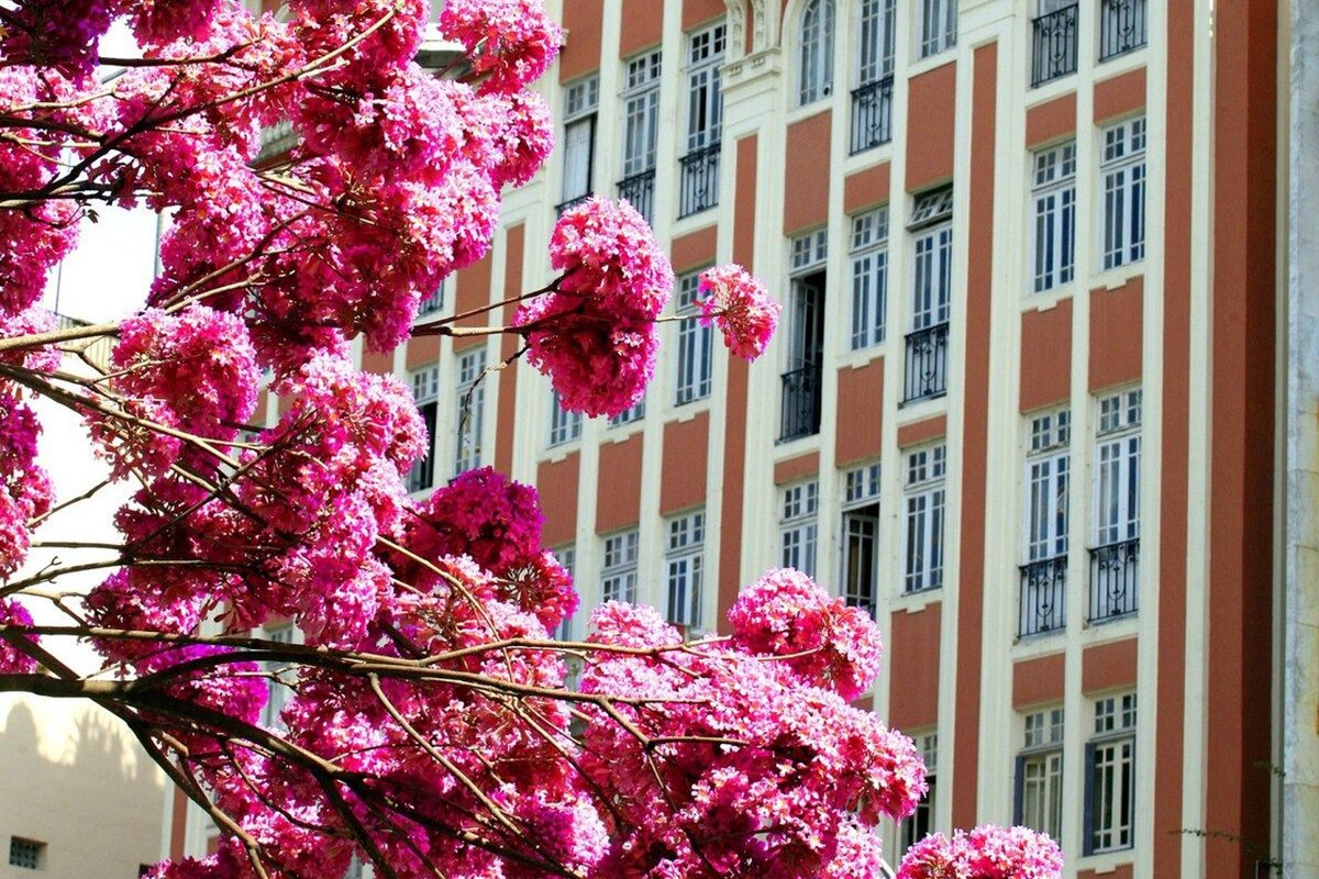 Apartamento vintage na Glória