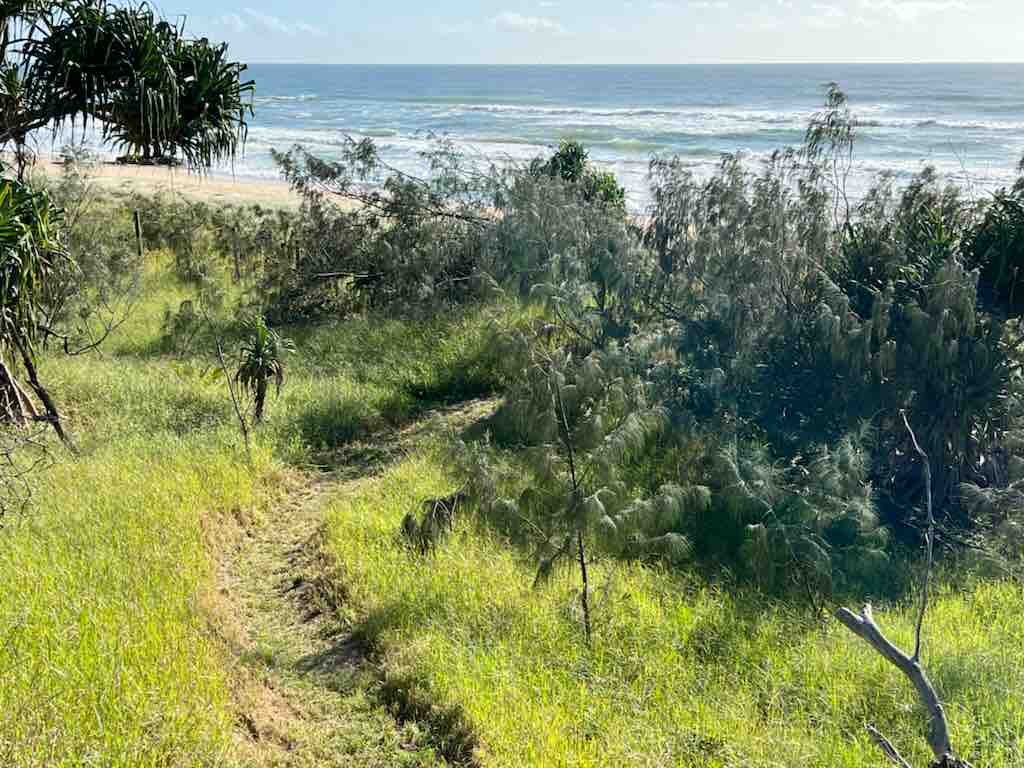 Yinneburra: Absolute beachfront at Yaroomba gallery image 5