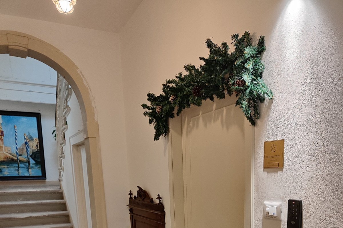 Oliver Twist in Venice gallery image 4