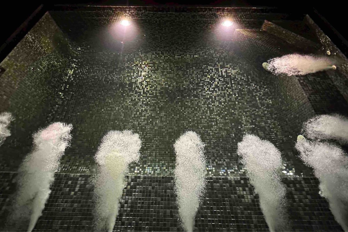 Bondi Beach Arc Masterpiece Home