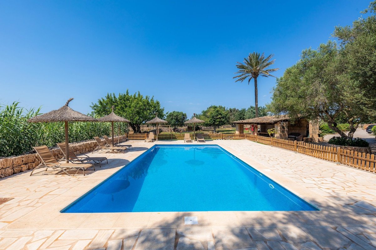 Xaloc gallery image 3