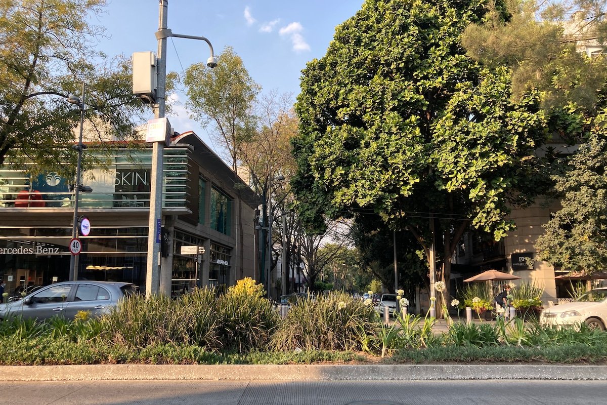 A 20m de Mazaryk Polanco Encantador Depto. Vívelo! gallery image 2