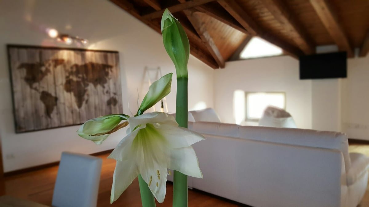 Donizetti Royal Attic Apartment 6 pax gallery image 5