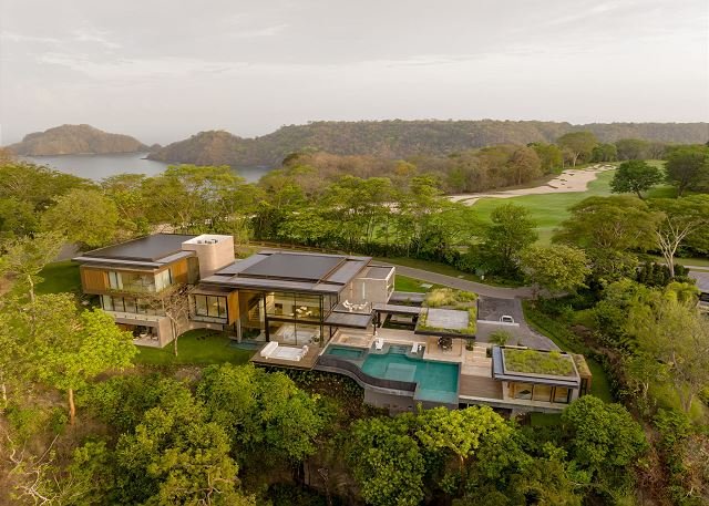 V. Enoki – Designed by Nature, Defined by Elegance