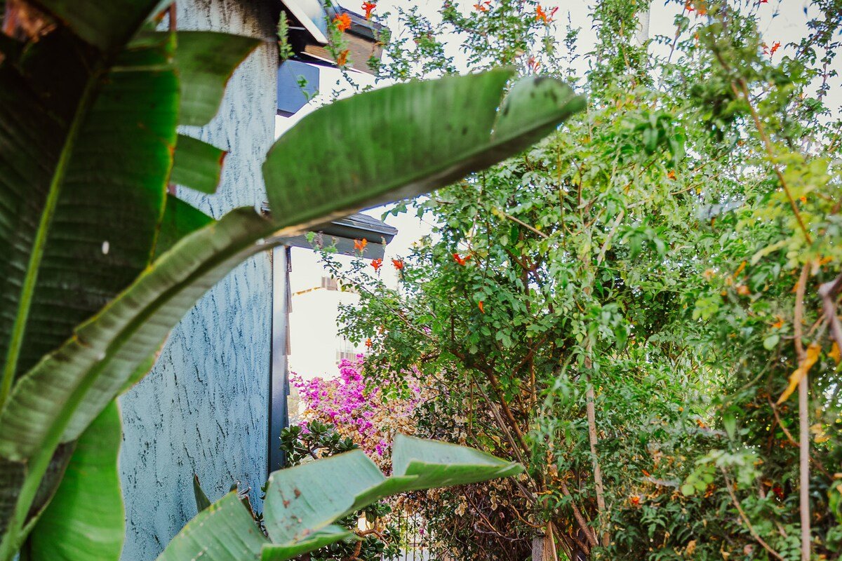 Venice Beach House walk to Abbott Kinney & Beach gallery image 3