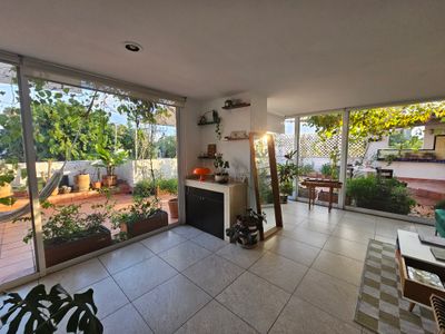 Huerto verde en la Roma