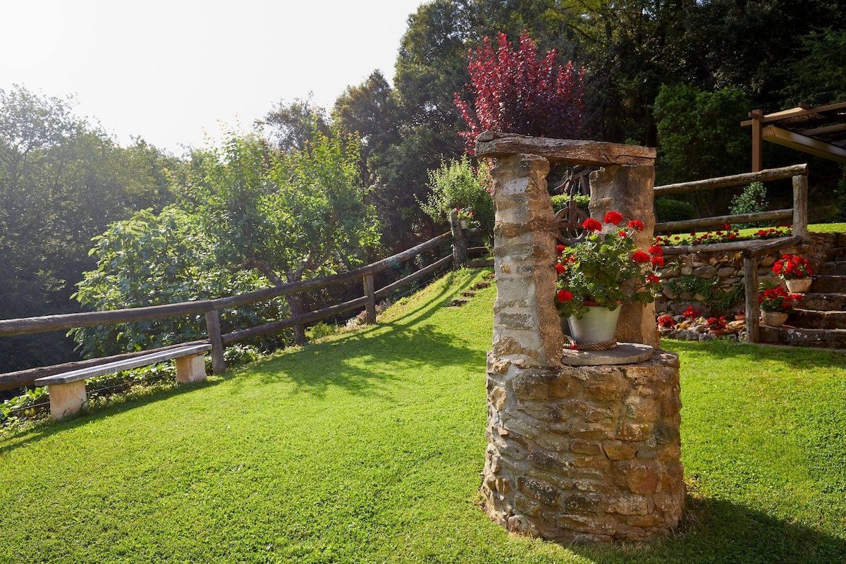 EN PLENA NATURALEZA ( can soler 2 ) gallery image 4